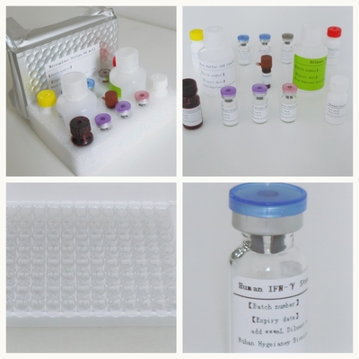 Detección de respuesta inmune mediada por células T específicas de micobácteria tuberculosis Kit de prueba Elisa