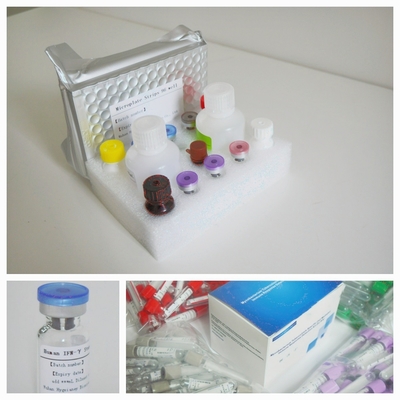 Detección de respuesta inmune mediada por células T específicas de micobácteria tuberculosis Kit de prueba Elisa