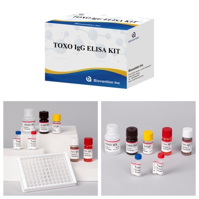 Kit de pruebas de Elisa sensible y específico de TOXO Ig G para el seguimiento de enfermedades