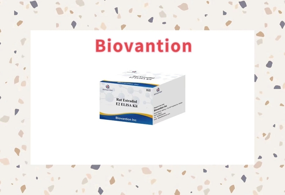 Especificidad Biovanción en rata Estradiol E2 Kit de prueba Elisa - 96 pruebas Almacenamiento a 2-8.C