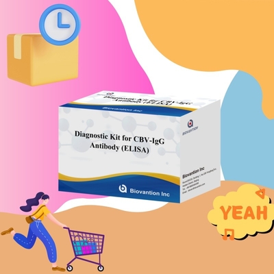 Kit de diagnóstico de sensibilidad para detección de anticuerpos humanos de CBV-IgG Kit Elisa para detección precisa del tipo de muestra