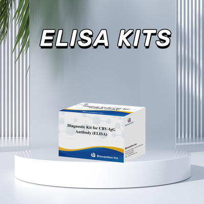 Kit de diagnóstico de sensibilidad para detección de anticuerpos humanos de CBV-IgG Kit Elisa para detección precisa del tipo de muestra