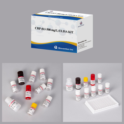 Reactivo de diagnóstico humano de detección rápida y confiable de Elisa de aproximadamente CRP 0,1-300 mg/L