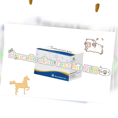 Pruebas de Brucella elisa RUO Pruebas de ELISA de productos vinculados a enzimas