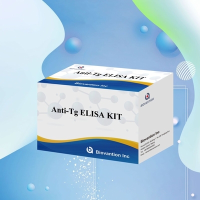 Kit de diagnóstico Elisa para anticuerpos antitiroglobulina humanos y anti-Tg para hospitales y laboratorios
