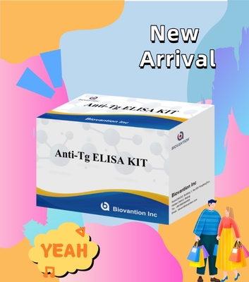 Kit de diagnóstico Elisa para anticuerpos antitiroglobulina humanos y anti-Tg para hospitales y laboratorios