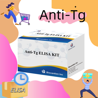 Kit de diagnóstico Elisa para anticuerpos antitiroglobulina humanos y anti-Tg para hospitales y laboratorios