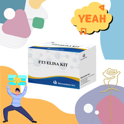 FT3 Triiodotironina libre para reagentes de diagnóstico humano con prueba ELISA 96T para laboratorio de hospitales clínicos