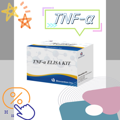 TNF-α RUO Prueba Elisa para plasma sérico Solución diagnóstica precisa y conveniente para la investigación