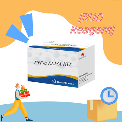 TNF-α RUO Prueba Elisa para plasma sérico Solución diagnóstica precisa y conveniente para la investigación