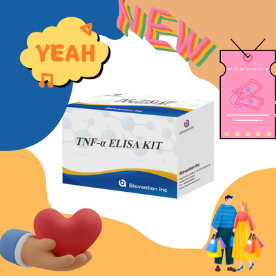 TNF-α RUO Prueba Elisa para plasma sérico Solución diagnóstica precisa y conveniente para la investigación
