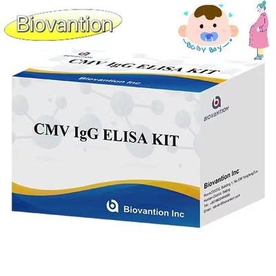 CMV IgG ELISA Kit Mujeres embarazadas Prueba preventiva Alta precisión