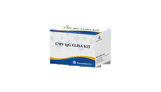 CMV IgG ELISA Kit Mujeres embarazadas Prueba preventiva Alta precisión