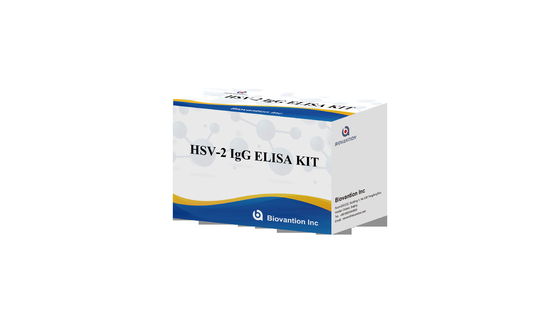 Instrucciones de uso de alta precisión para el kit de ensayo ELISA de la antorcha de IgG HSV II
