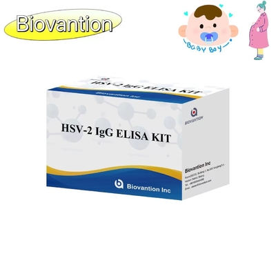 Instrucciones de uso de alta precisión para el kit de ensayo ELISA de la antorcha de IgG HSV II