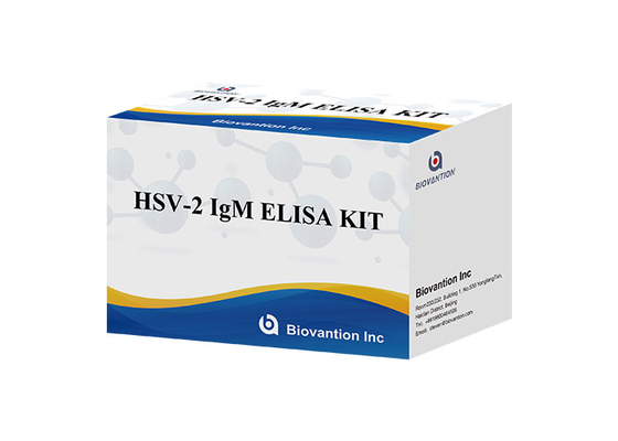 Kit de ensayo de ELISA con antorcha de HSV 2 IgM Instrucciones de uso de alta precisión