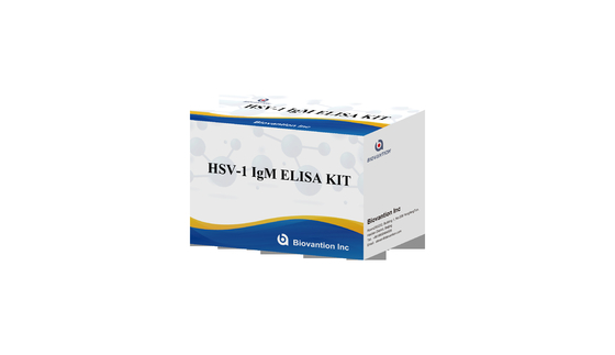 Kit de pruebas de ELISA con antorcha HSV 1 IgM Reactivo de diagnóstico de alta venta a fuego IVD