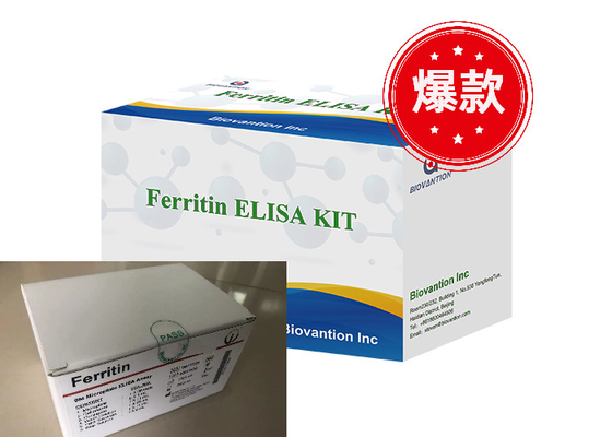 Kit de pruebas de Ferritina Elisa Productos vinculados a las enzimas Tiempo de transporte corto