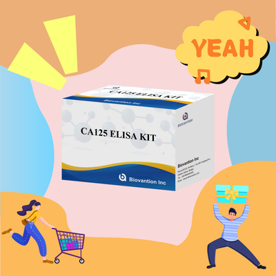 Biovantion CA125 ((Cuantitativo) Vida útil de 18 meses Kit de prueba Elisa con sensibilidad y especificidad