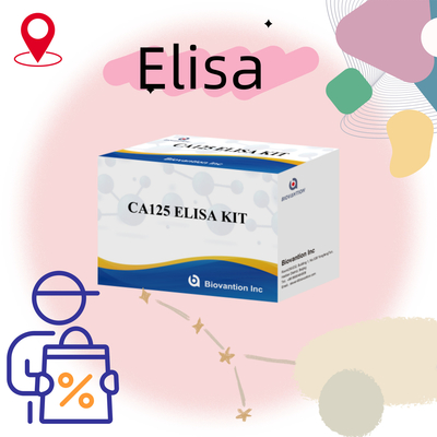 Biovantion CA125 ((Cuantitativo) Vida útil de 18 meses Kit de prueba Elisa con sensibilidad y especificidad