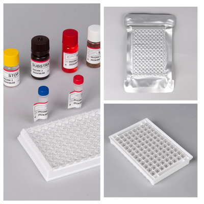 Kit de prueba de VIH Ab Ag Elisa con vida útil de 18 meses y alta sensibilidad/especificidad