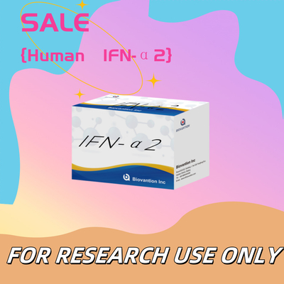 Kit de reactivos de Elisa Humana IFN-α2 para investigación Uso de reactivos de Elisa Alta sensibilidad