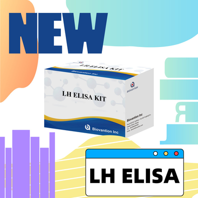 Kit de pruebas ELISA de Biovantion para el diagnóstico de la hormona luteinizante humana