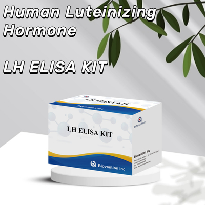 Kit de pruebas ELISA de Biovantion para el diagnóstico de la hormona luteinizante humana