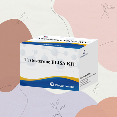 Prueba de plasma de suero Reactivo de detección humana Test0sterona Kit Elisa cuantitativo