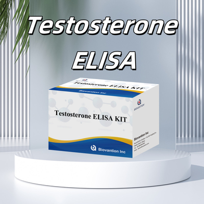 Prueba de plasma de suero Reactivo de detección humana Test0sterona Kit Elisa cuantitativo