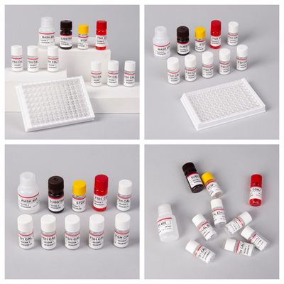 Período de conservación de 18 meses Sensibilidad FSH (cuantitativa) Kit ELISA para la detección de anticuerpos contra antígenos