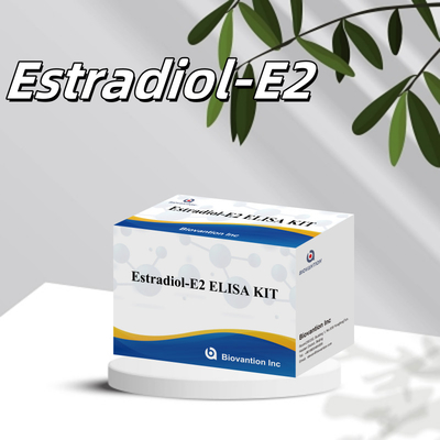 Biovantion Estradiol Quantitative 96-Well Plate Test Kit para muestras de suero con sensibilidad aumentada