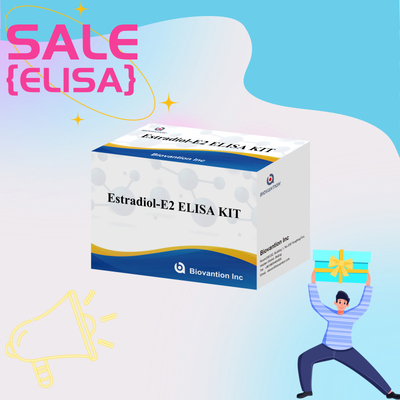 Biovantion Estradiol Quantitative 96-Well Plate Test Kit para muestras de suero con sensibilidad aumentada