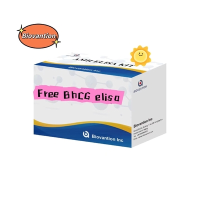 Serum de prueba de BhCG Elisa gratuito Almacenamiento 2-8.C Vida útil de 18 días en boca