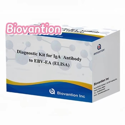 Kit de prueba de EBV-EA Elisa Kit de diagnóstico para anticuerpos IgA de alta precisión