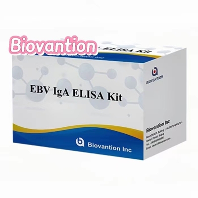 Anticorpos IgA contra el EBNA1 Kit de prueba Elisa Sero 50μL Formatos del kit de muestras
