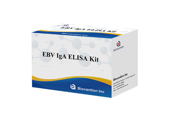 Anticorpos IgA contra el EBNA1 Kit de prueba Elisa Sero 50μL Formatos del kit de muestras
