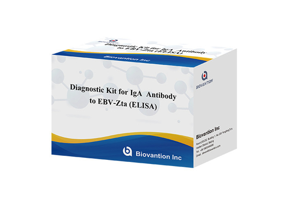 Kit de diagnóstico de anticuerpos IgA contra el EBV-Zta ELISA KIT de prueba de inmunosorbente