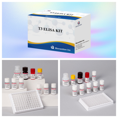 Kit de prueba de diagnóstico médico T3 de inmunosorbente ligado a enzimas con alta especificidad