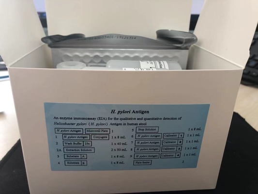 H Pylori Ab Kit de pruebas rápidas de banda Cassette Enfermedad gastrointestinal Prueba rápida