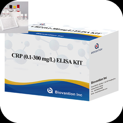 CRP 0,1-300 mg/l de especificidad Kit de prueba Elisa con tiempo de ensayo rápido de 1 hora