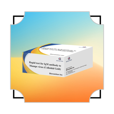 Prueba rápida y precisa de anticuerpos IgM contra el virus de las paperas en oro coloidal en formato de cinta para resultados