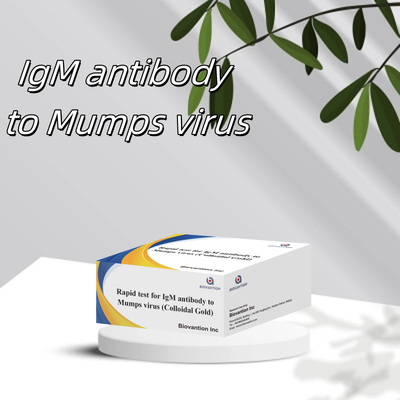 Prueba rápida y precisa de anticuerpos IgM contra el virus de las paperas en oro coloidal en formato de cinta para resultados