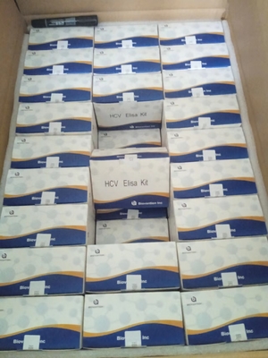 Kit de prueba ELISA para el VHC muestras de masa sin reactividad cruzada para ensayos precisos