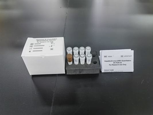 Hepatitis B Virus HBV Kit de PCR cuantitativo Sensibilidad de muestra Tipo de prueba Kit con 96 pruebas