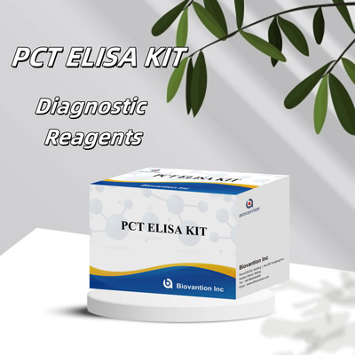 Kit de detección para PCT para humanos Reactivo de detección para plasma sérico humano
