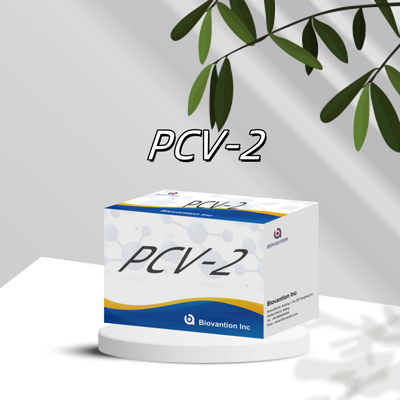 Prueba ELISA WB/S/P PCV-2 para los reactivos veterinarios de anticuerpos animales