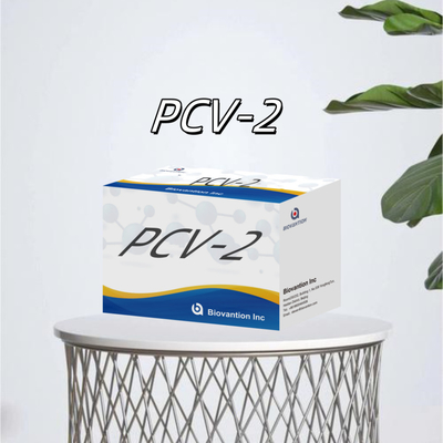 Prueba ELISA WB/S/P PCV-2 para los reactivos veterinarios de anticuerpos animales