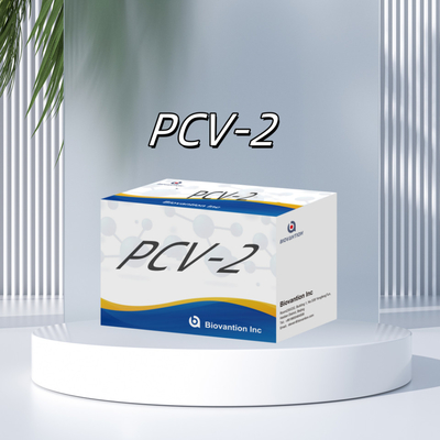 Prueba ELISA WB/S/P PCV-2 para los reactivos veterinarios de anticuerpos animales