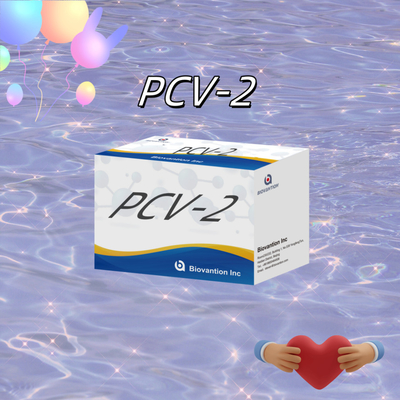 Prueba ELISA WB/S/P PCV-2 para los reactivos veterinarios de anticuerpos animales